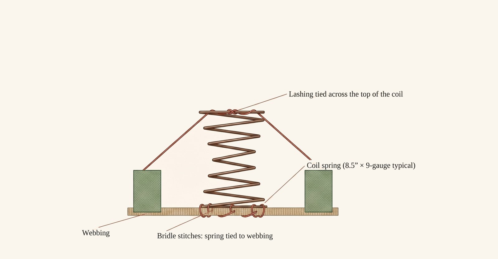 Side cross-section of a coil spring bridled to the webbing and lashed across the top